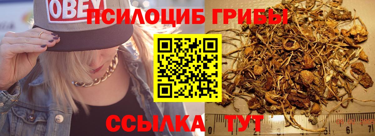Чита  Псилоцибиновые грибы мухоморы  Псилоцибиновые грибы прущие грибы  Вход с VPN 
